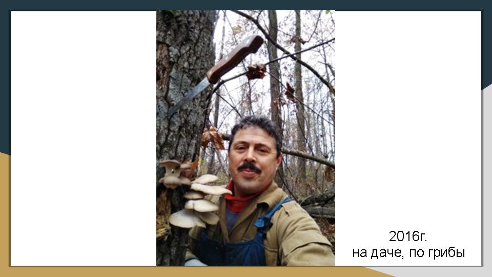 Слайд42